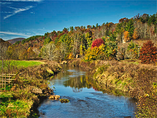 Lenoir Mirror Company - Environmental Ppolicy